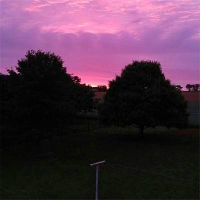 亚搏平台最新版app下载