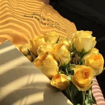 JN江南·体育注册