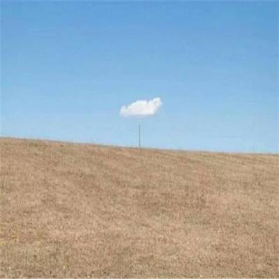 乐发彩票APP下载下载手机版